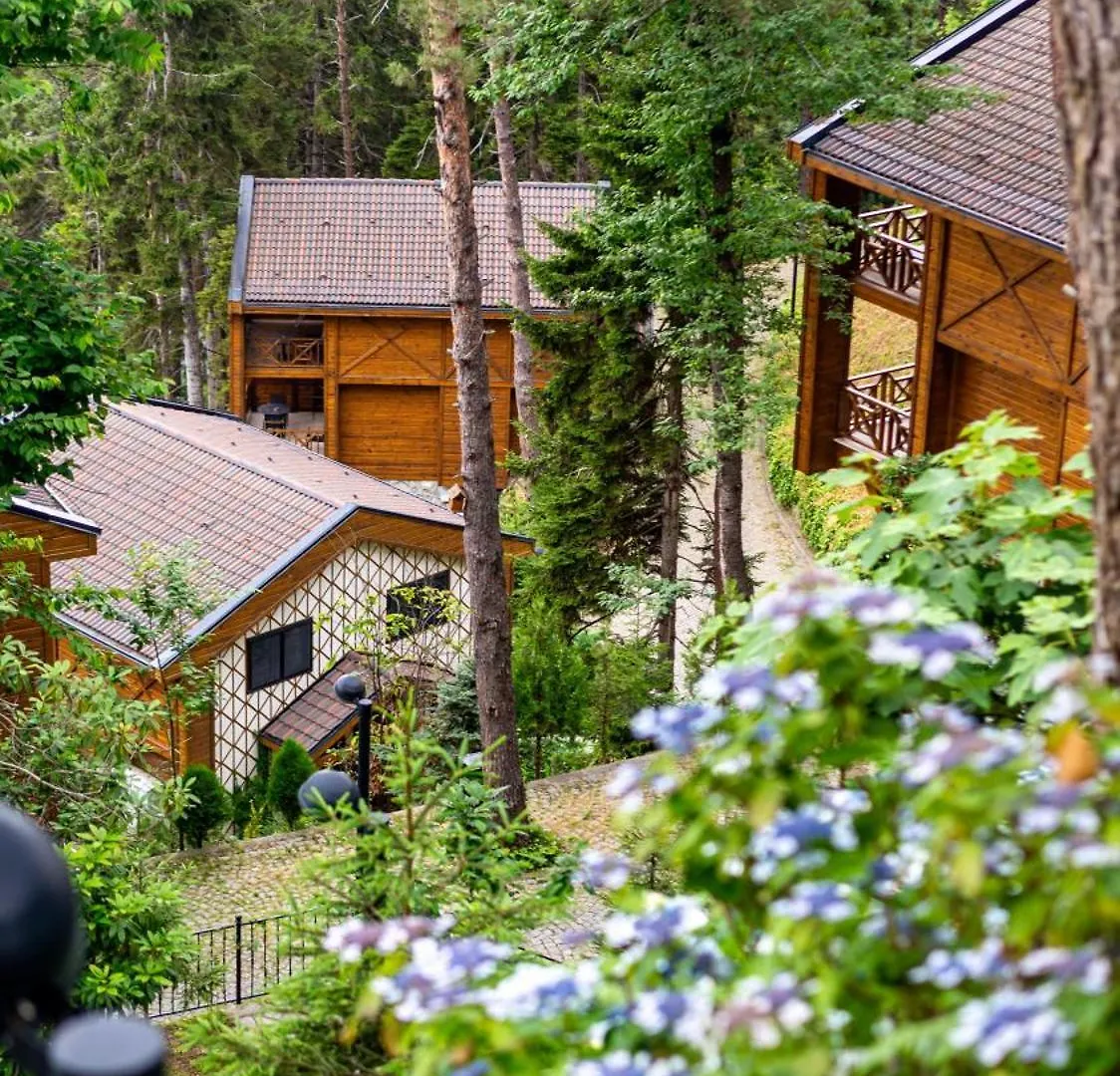 Hancioglu Orman Evleri & Hotel Trabzon
