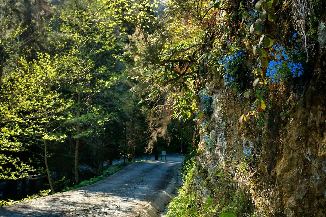 Hancioglu Orman Evleri & Hotel Trabzon