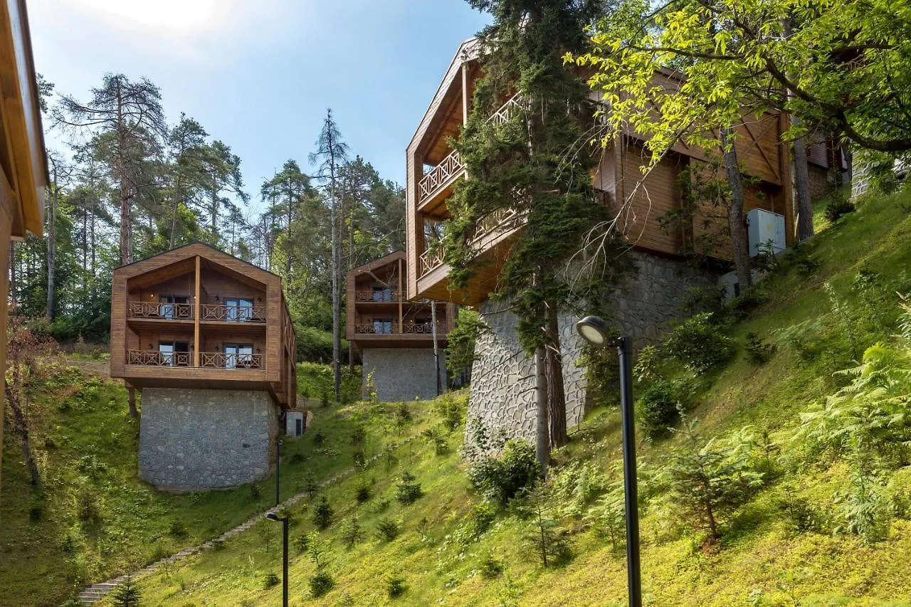 Hancioglu Orman Evleri & Hotel Trabzon 4*,
